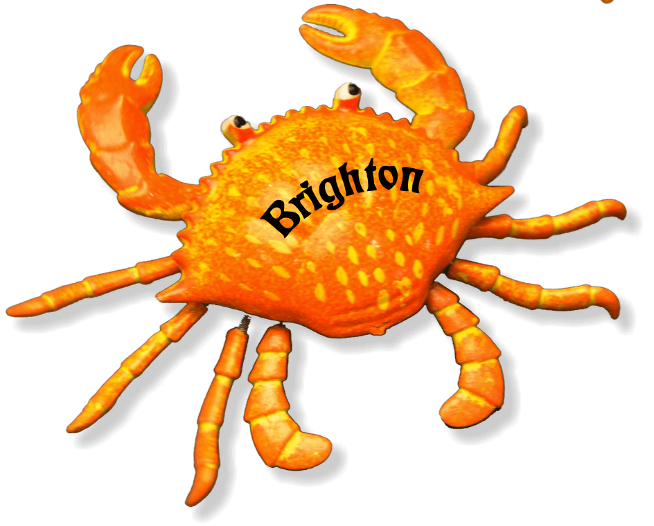 Crabb Fest Live 2003(中古品) Wobble Crab | Impact Souvenirs